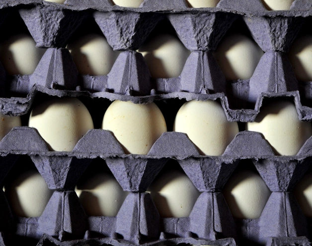 La imagen muestra varios maples de huevos apilados