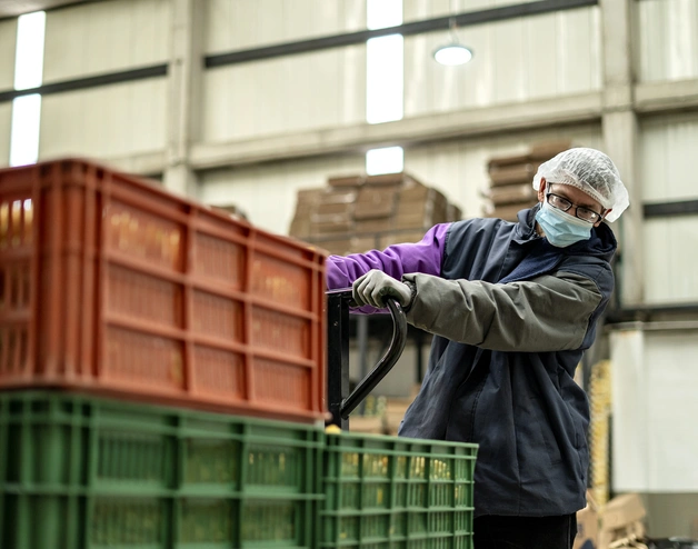 Fruit quality control packing plant.jpg