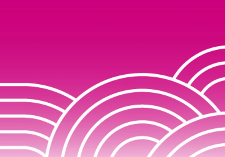 magenta-con-lineas1.jpg