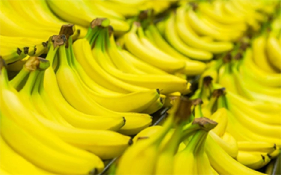 platano_teaser.jpg