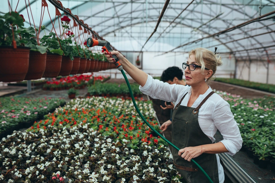 uruguay, bono sostenible, desarrollo, mercados de capital