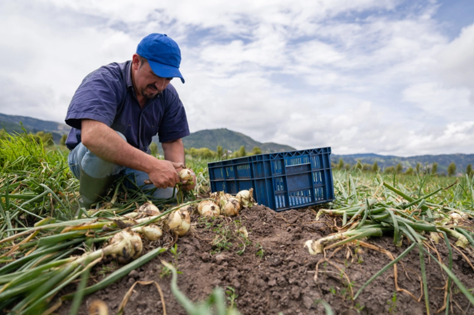 latin agribusiness