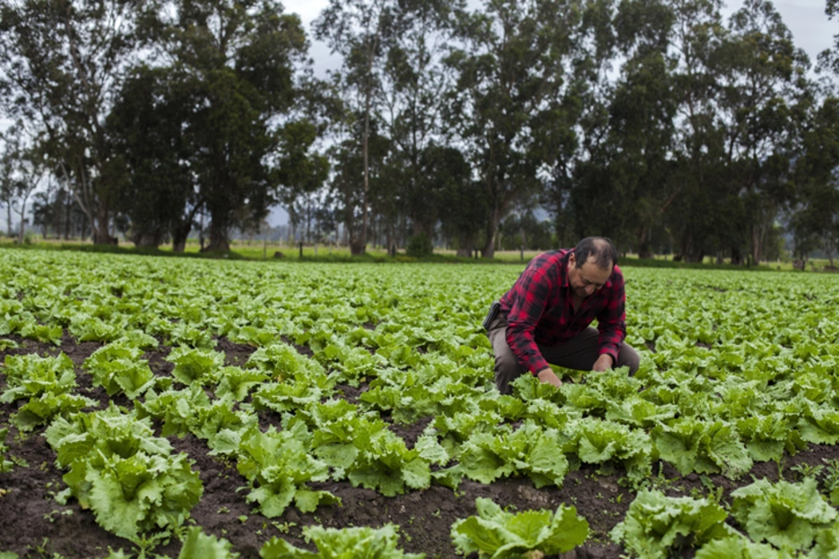 Paraguayan farmer