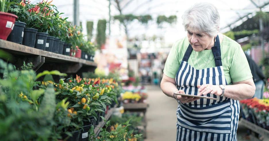 Elderly woman working in greenhouse.