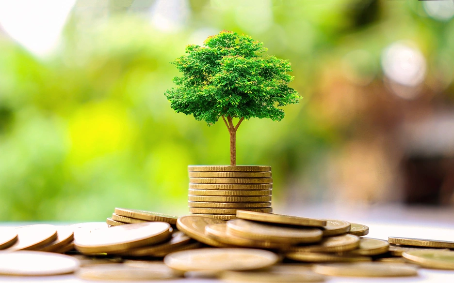 Image showing a tree growing out of a bunch of coins