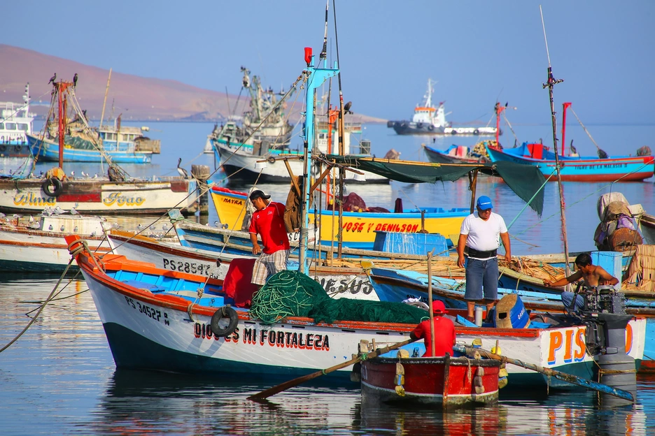 Fishing boats in Peru