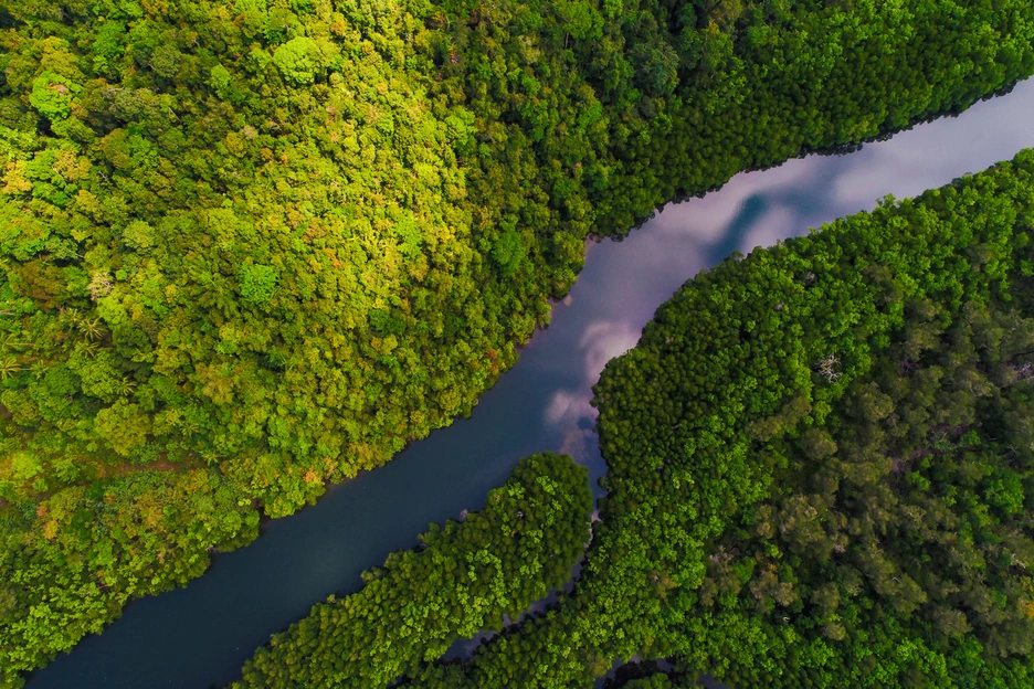 Above image of a river in the Amazon region