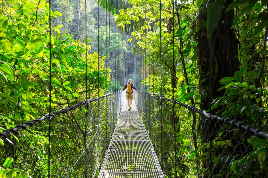 Image showing a wood bridge in the middle of a jungle in Costa Rica