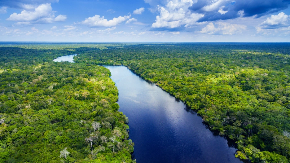 Amazon river