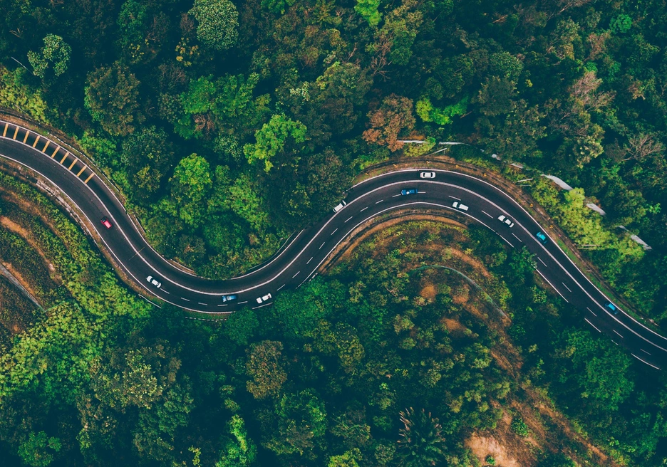 Aerial view of a road in the middle of a forest