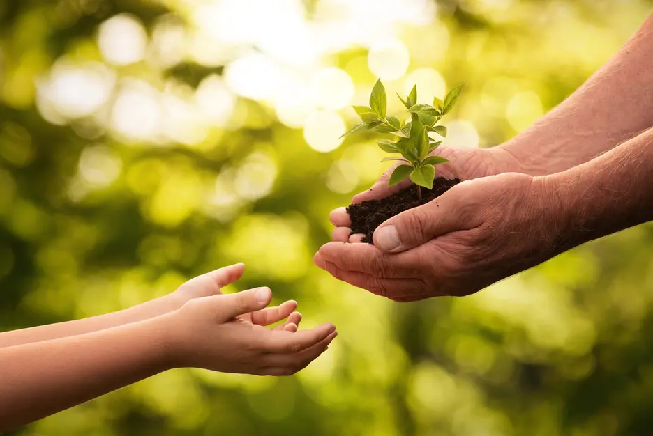 An old person  gives a plant to a kid