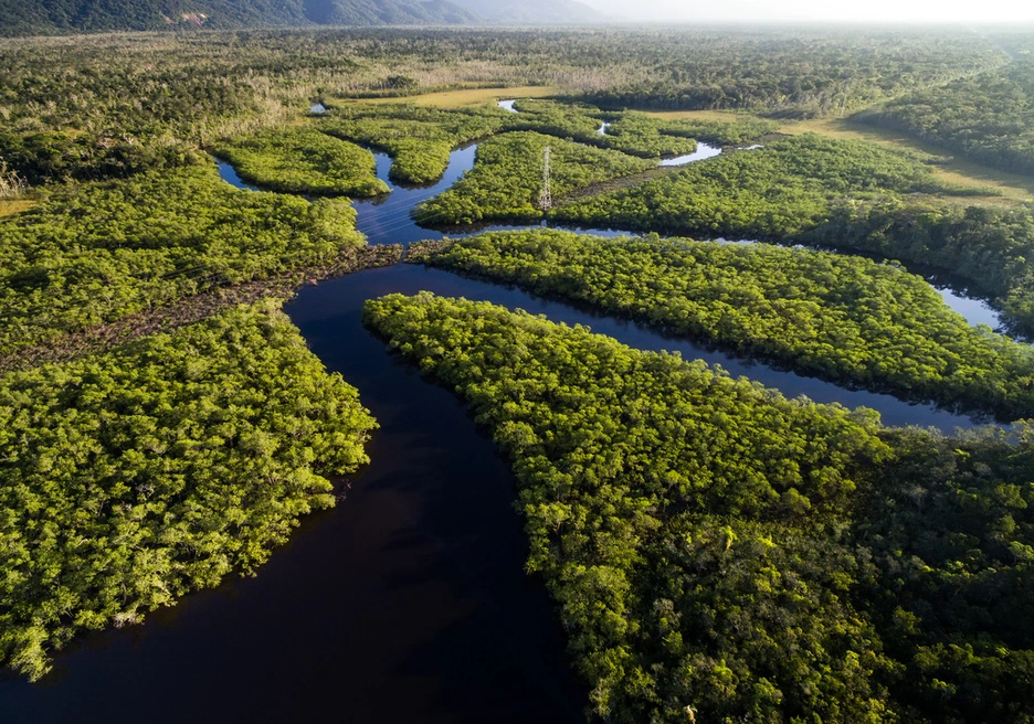 Amazon river