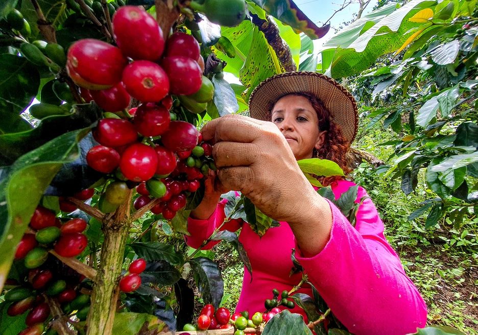 Woman farmer