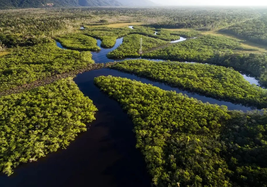 Una confluencia de ríos en la selva amazónica.