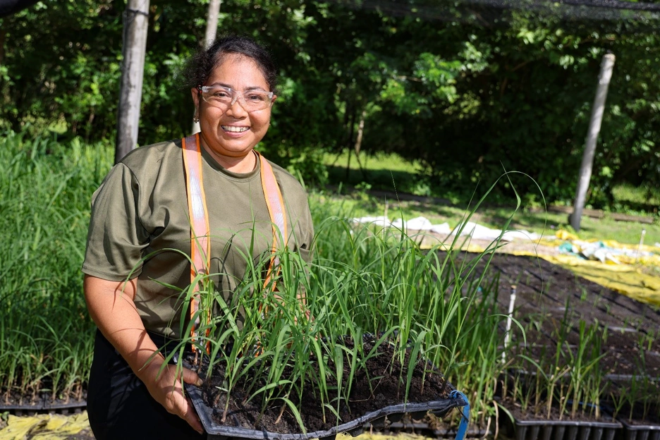 Una mujer está de pie al aire libre sosteniendo una bandeja con plántulas verdes jóvenes, rodeada de hileras de plantas en un vivero o entorno agrícola, con árboles y luz solar al fondo.