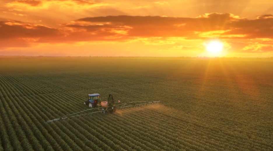 atome bid invest .png