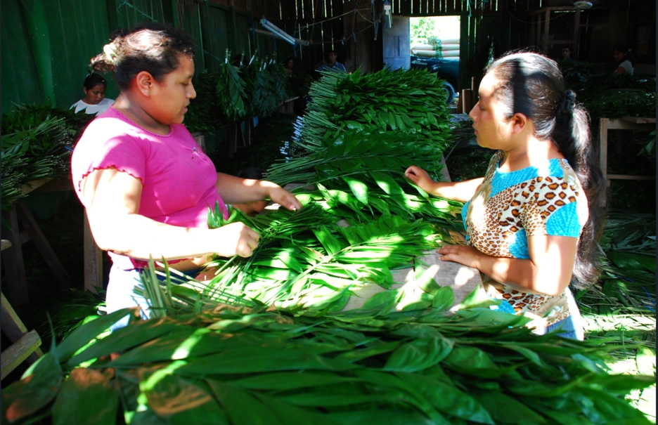 banco industrial guatemala bid invest .png