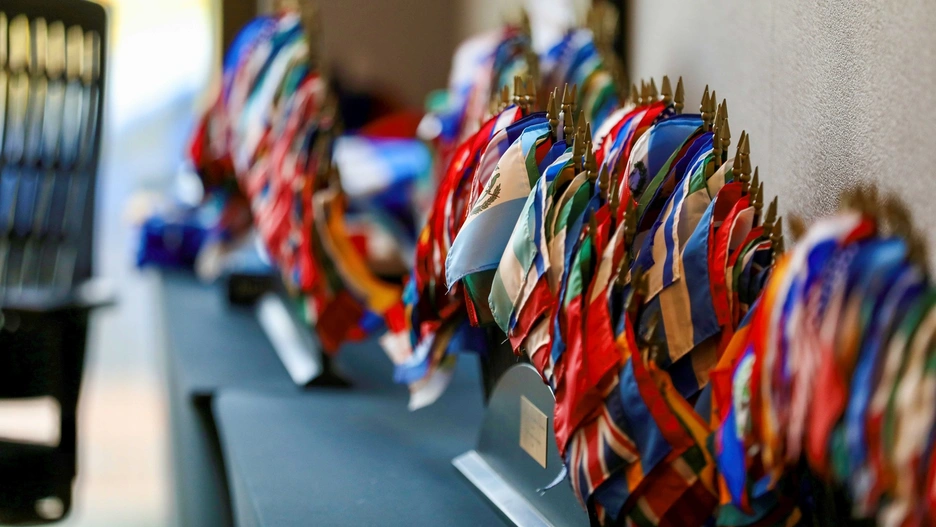 banderas reduced .jpg