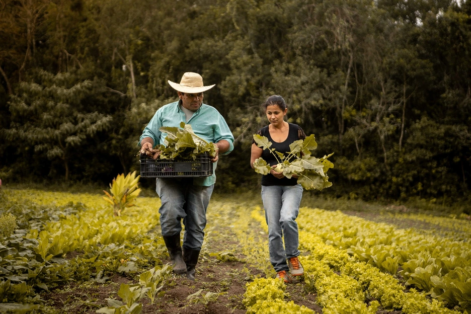 Brazil agriculture 