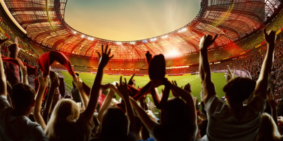 fans cheering in a packed stadium 