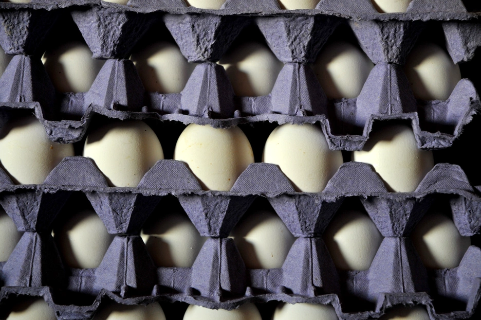 La imagen muestra varios maples de huevos apilados