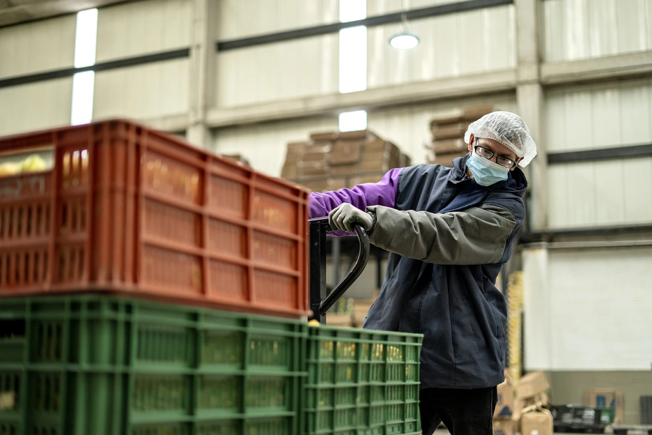 Fruit quality control packing plant.jpg