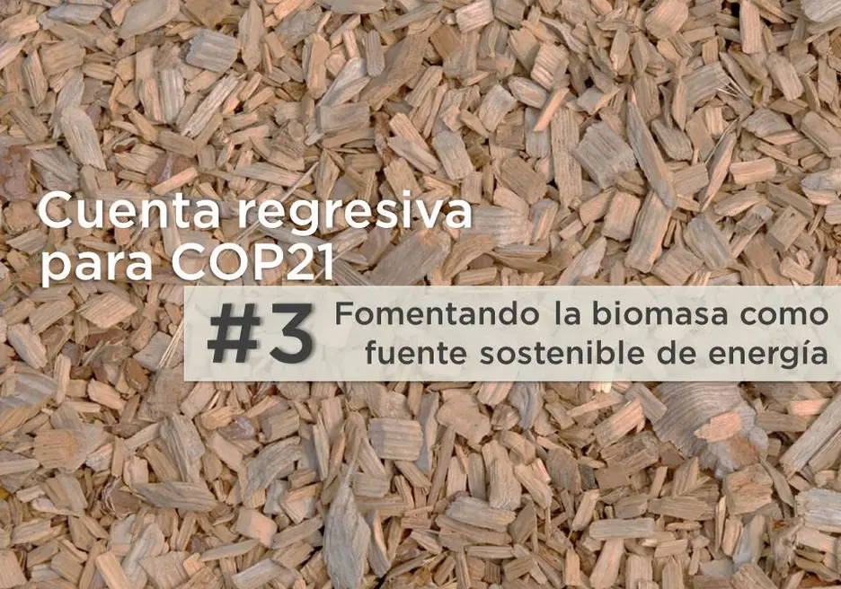 5 razones para reconsiderar la biomasa en Latinoamérica
