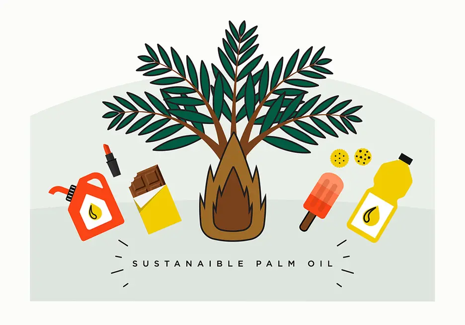Supporting sustainable palm oil in Latin America and the Caribbean