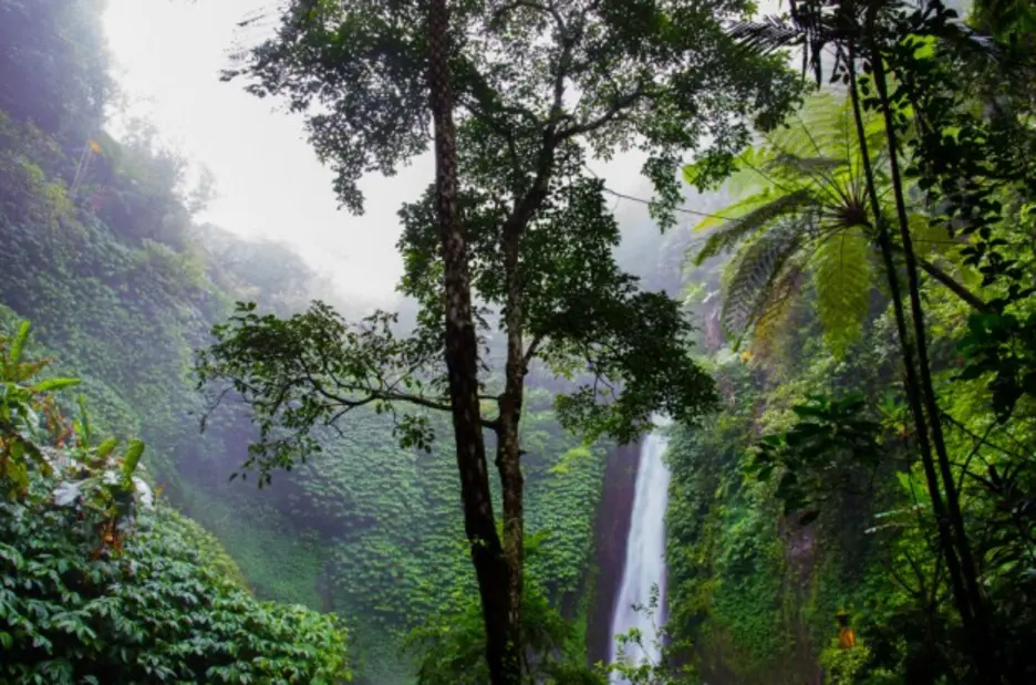 ¿Cuál es el valor de la Naturaleza?